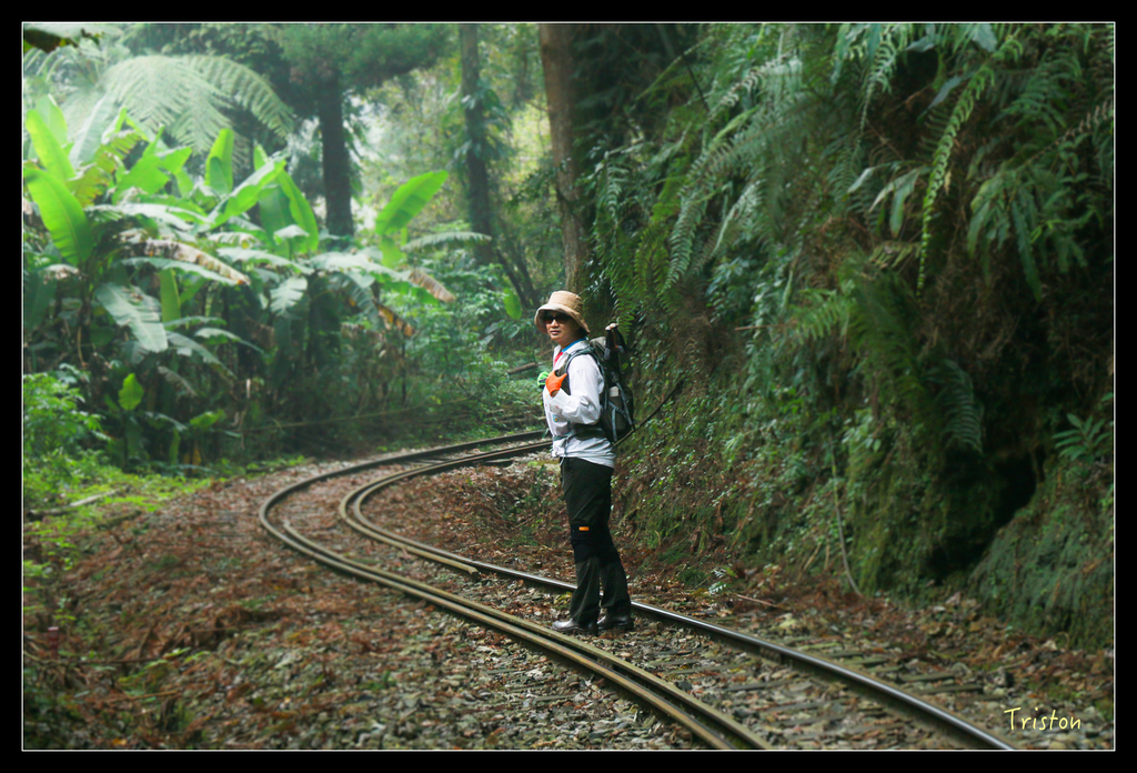 IMG_8503.jpg - 20151012 水社寮,四天王山