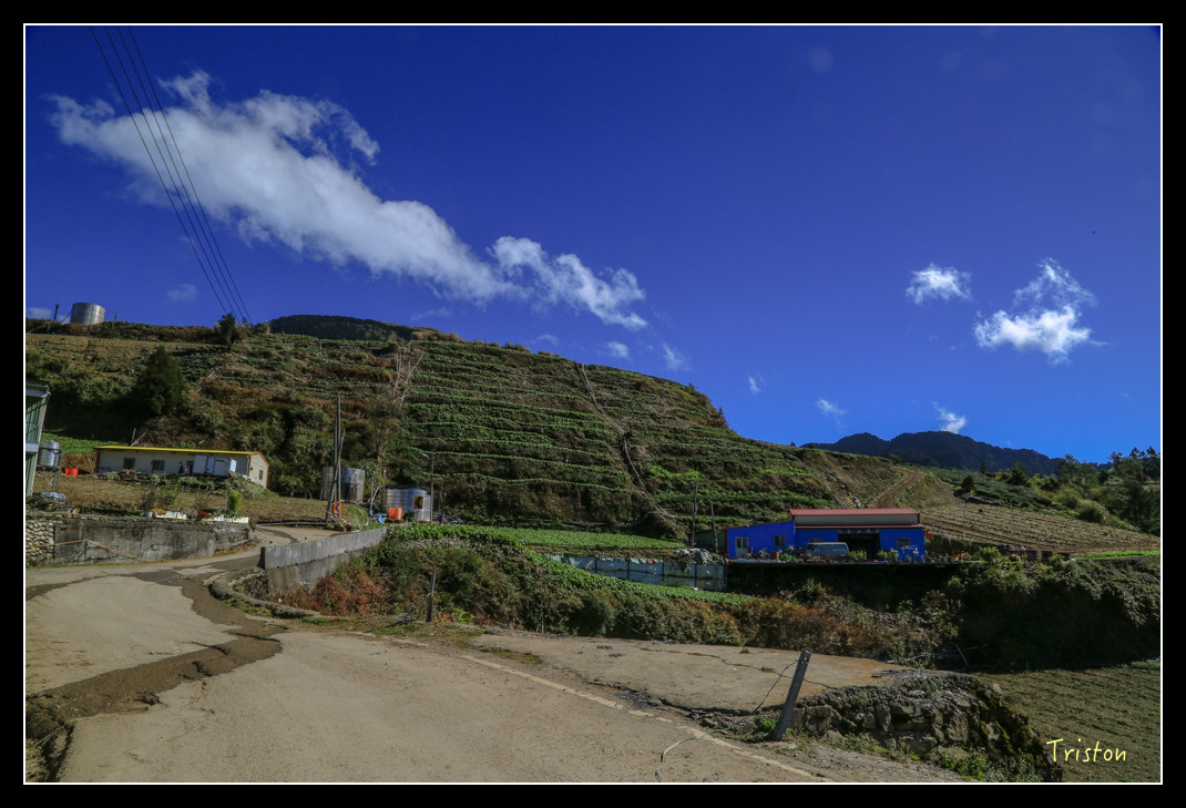 JH1A0624.jpg - 20151205 合歡溪步道、108K楓之谷