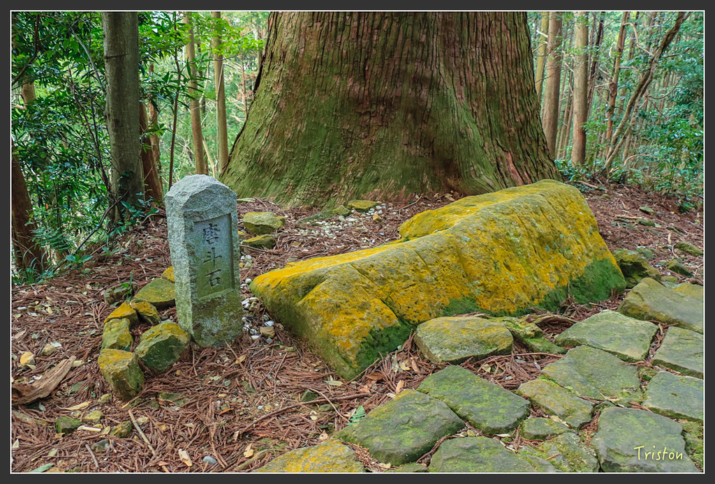 IMG_5727.jpg - 20160323 日本熊野古道健行