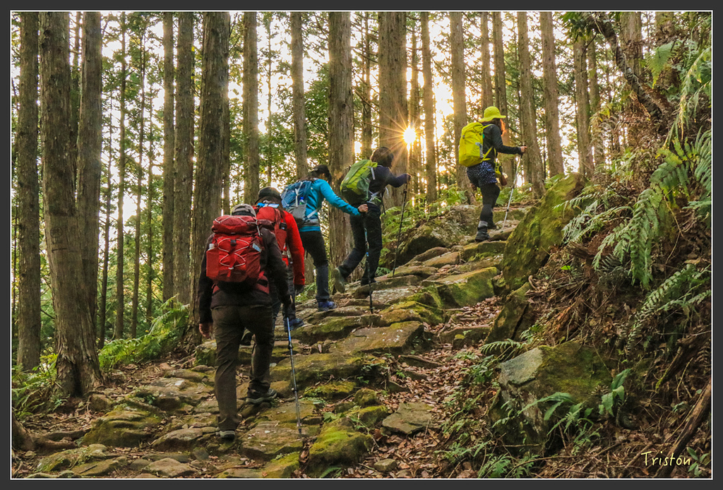 IMG_5329.jpg - 20160323 日本熊野古道健行