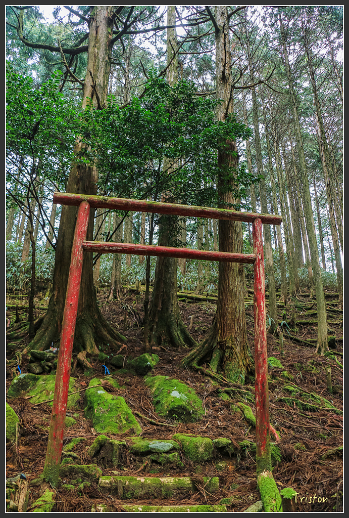 IMG_5540.jpg - 20160323 日本熊野古道健行