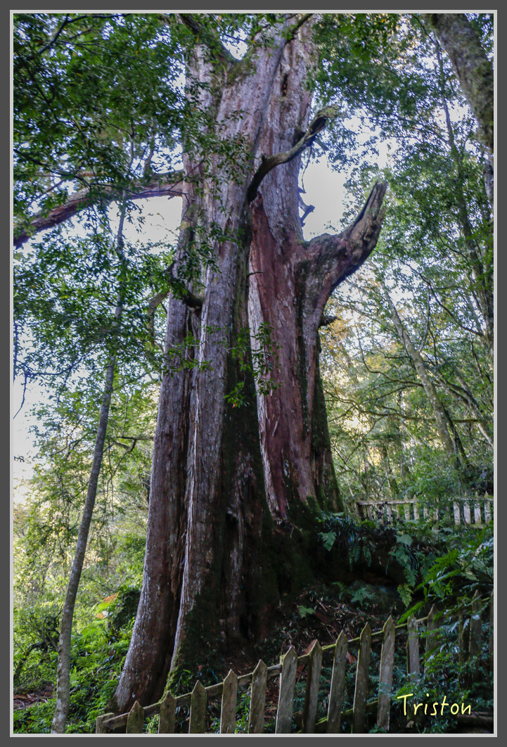 _MG_0260.jpg - 20161203 鎮西堡