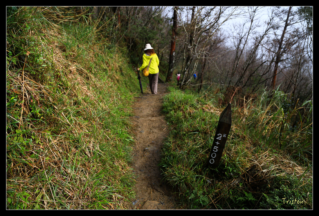 JH1A0157.jpg - 20151024~25 幾米公園、翠峰湖、翠峰山屋、望洋山步道、山毛櫸步道