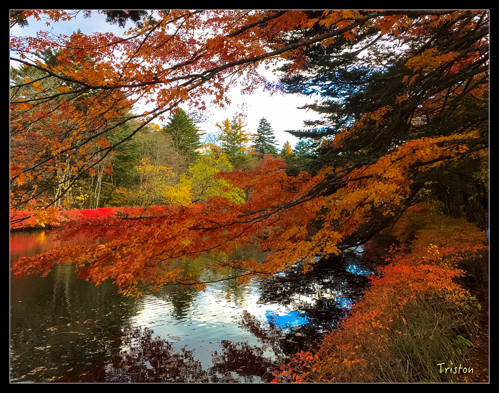 S__7536642.jpg - 20151031 秋天的童話-貴婦東京輕井澤紀行