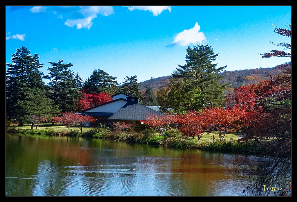 DSC00282.jpg - 20151031 秋天的童話-貴婦東京輕井澤紀行