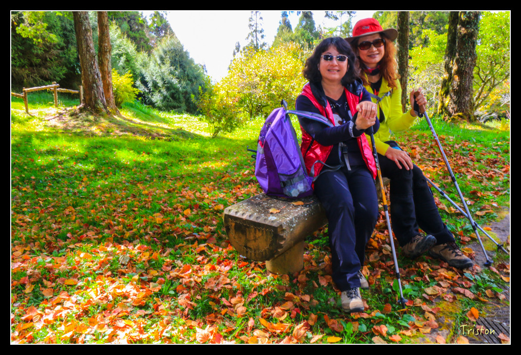 IMG_9331.jpg - 20151130 小笠原山、對高岳