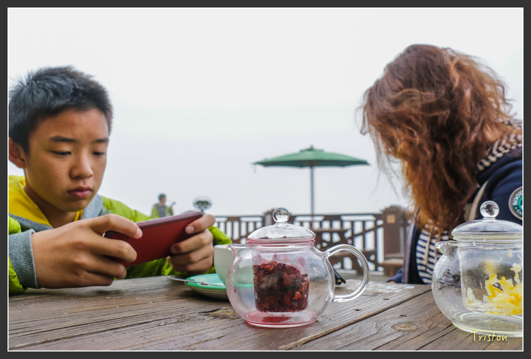 IMG_3495.jpg - 20160227 觀霧森林步道