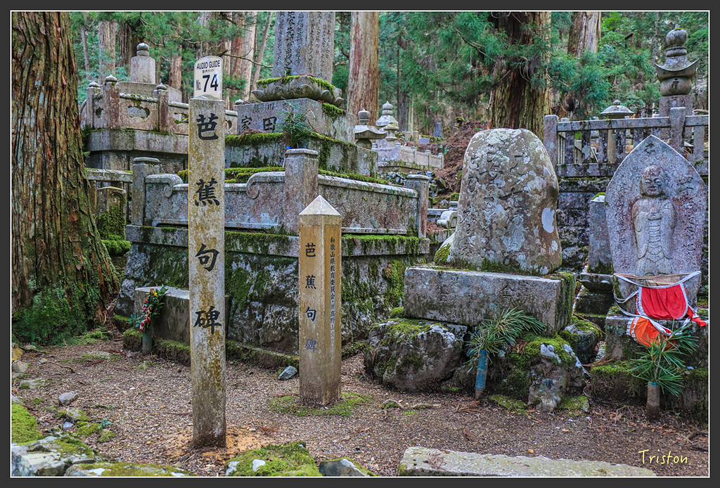 IMG_4610.jpg - 20160323 日本熊野古道健行