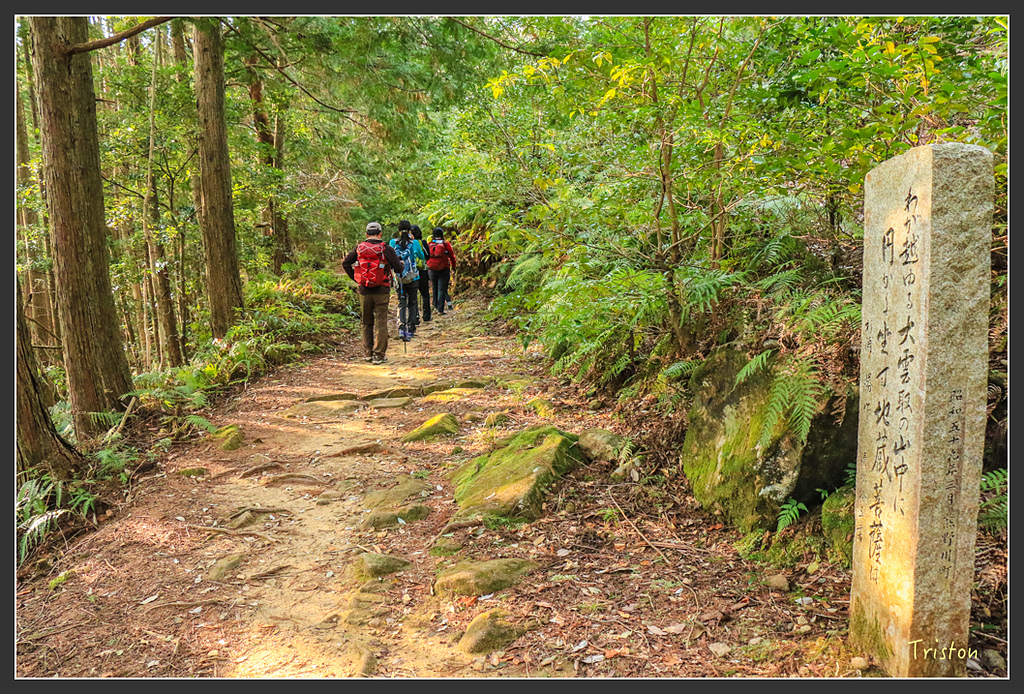 IMG_5333.jpg - 20160323 日本熊野古道健行