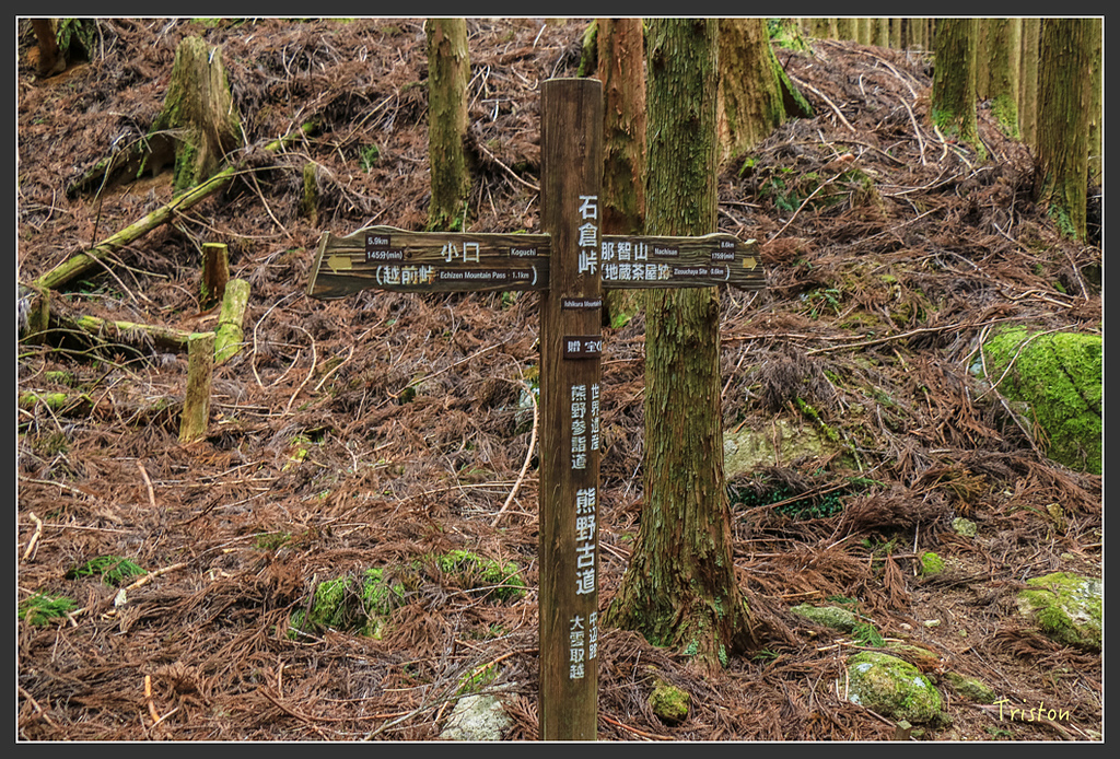 IMG_5487.jpg - 20160323 日本熊野古道健行