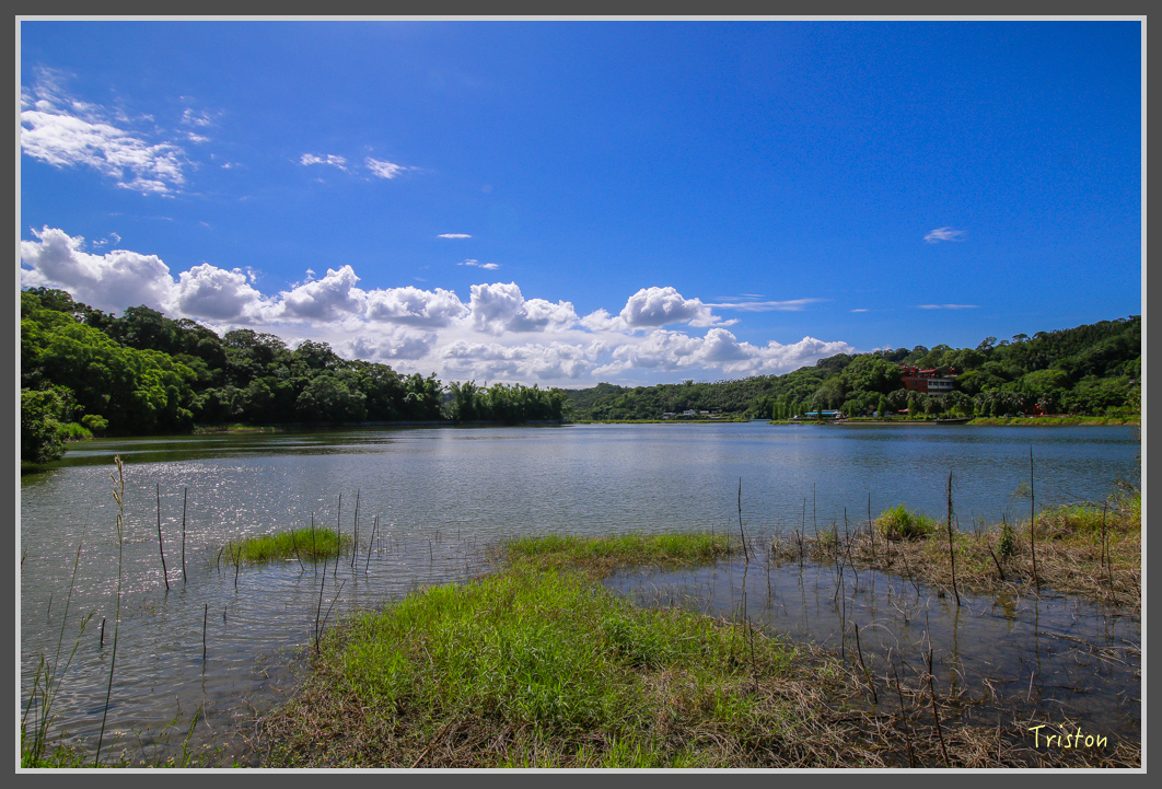 _MG_8899.jpg - 20160712 苗栗薰衣草森林