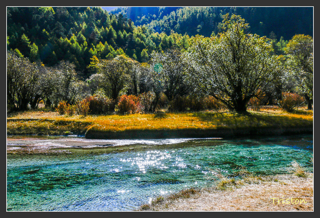 _MG_1933.jpg - 20161013 稻城亞丁