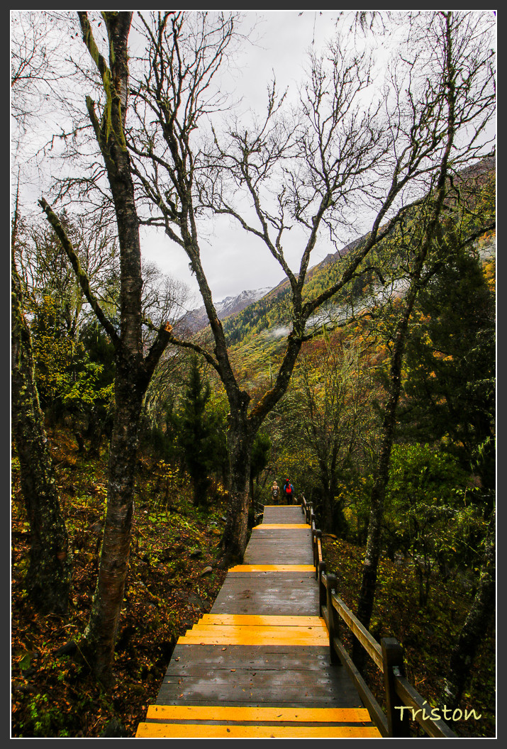 _MG_0898.jpg - 20161013 稻城亞丁