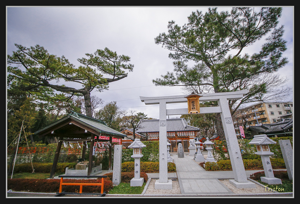 Canon-341.jpg - 20170120 大阪神戶親子遊