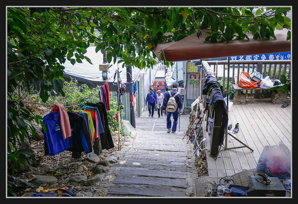 _MG_0080.jpg - 20170205 柴山盤榕雅座路線