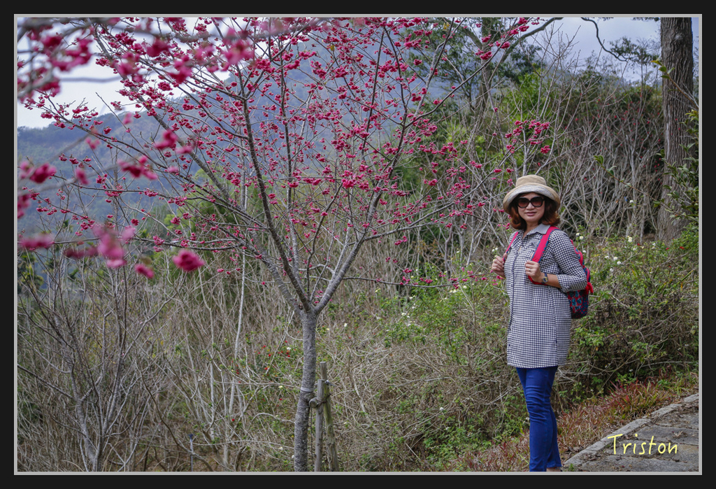 _H1A2512.jpg - 20170311 草嶺