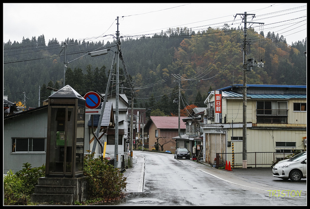 _H1A0757.jpg - 20171103 日本只見線、會津若松五色沼、昭和記念公園賞紅葉