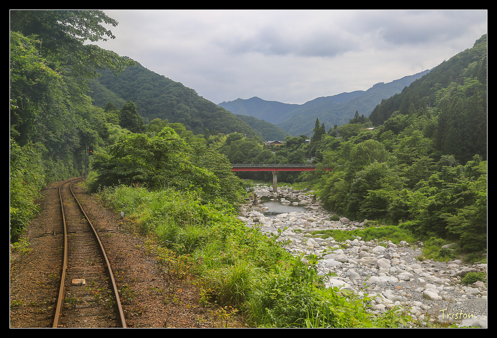 JH1A9842.jpg - 20150628 東京輕井澤日光