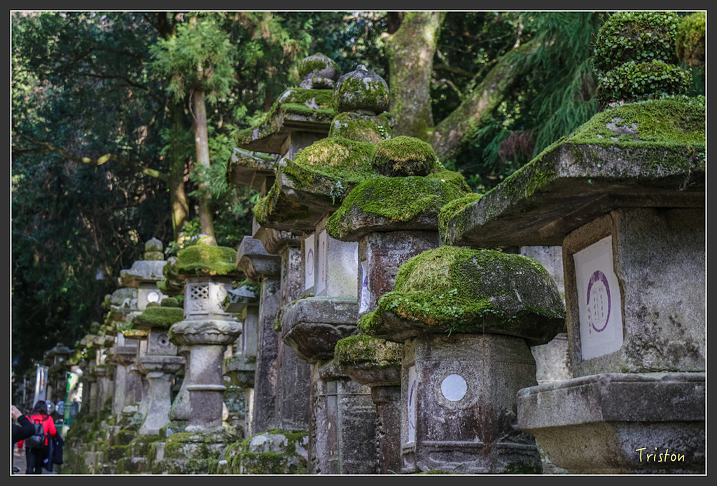 IMG_4049.jpg - 20160323 日本熊野古道健行