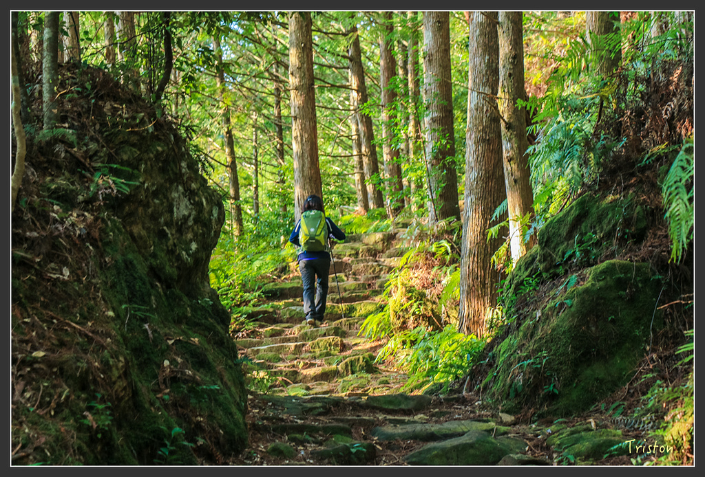IMG_5346.jpg - 20160323 日本熊野古道健行