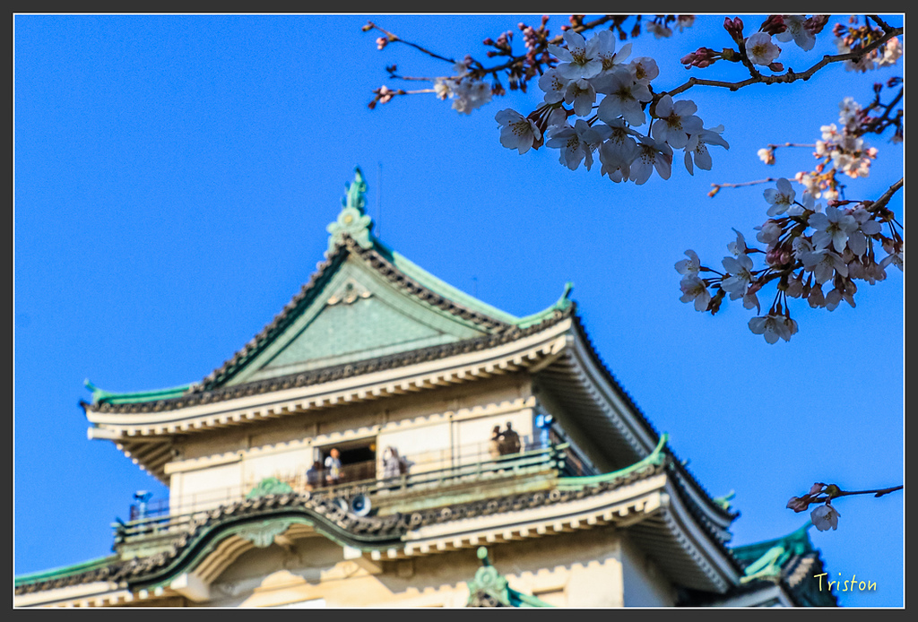 IMG_6024.jpg - 20160323 日本熊野古道健行