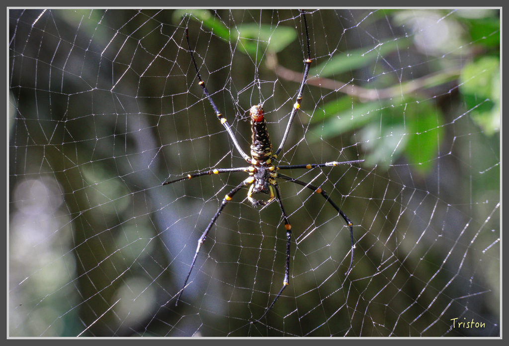 IMG-160.jpg - 20160821 中橫花東之旅