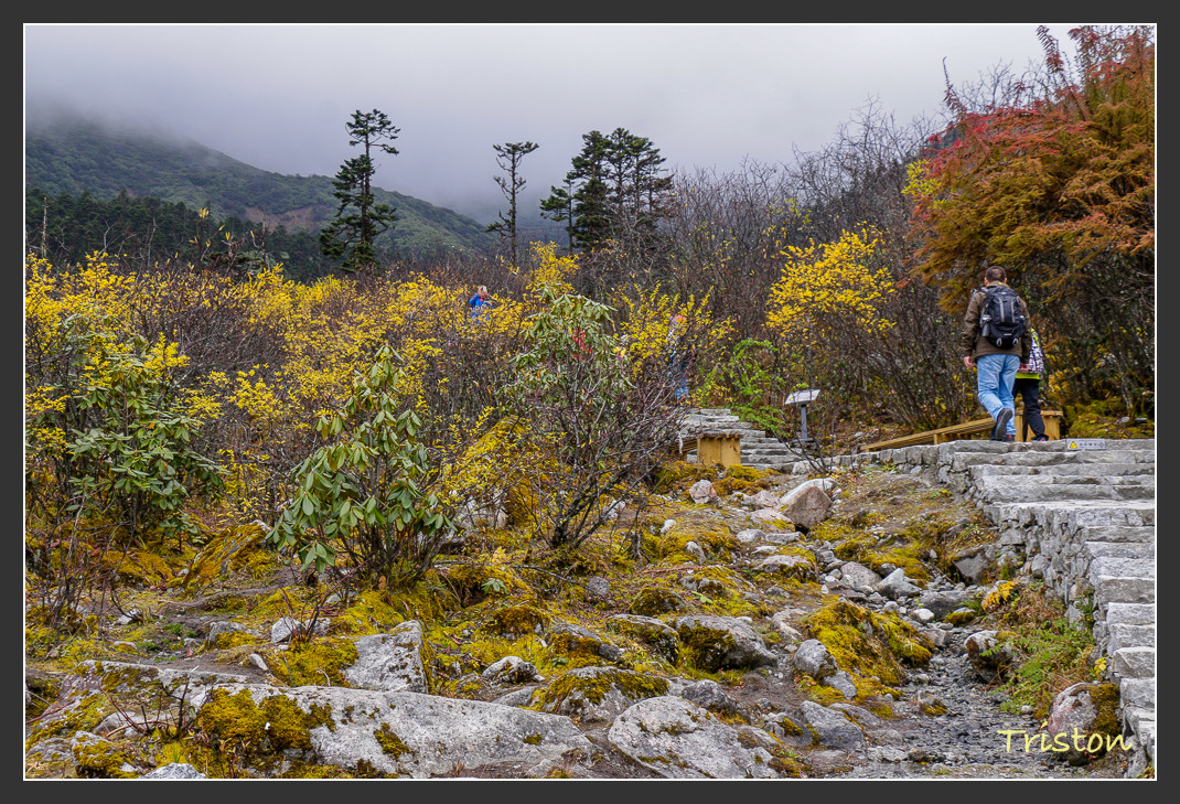 _MG_2674.jpg - 20161013 稻城亞丁