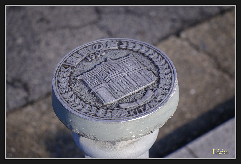 Canon-118.jpg - 20170120 大阪神戶親子遊 