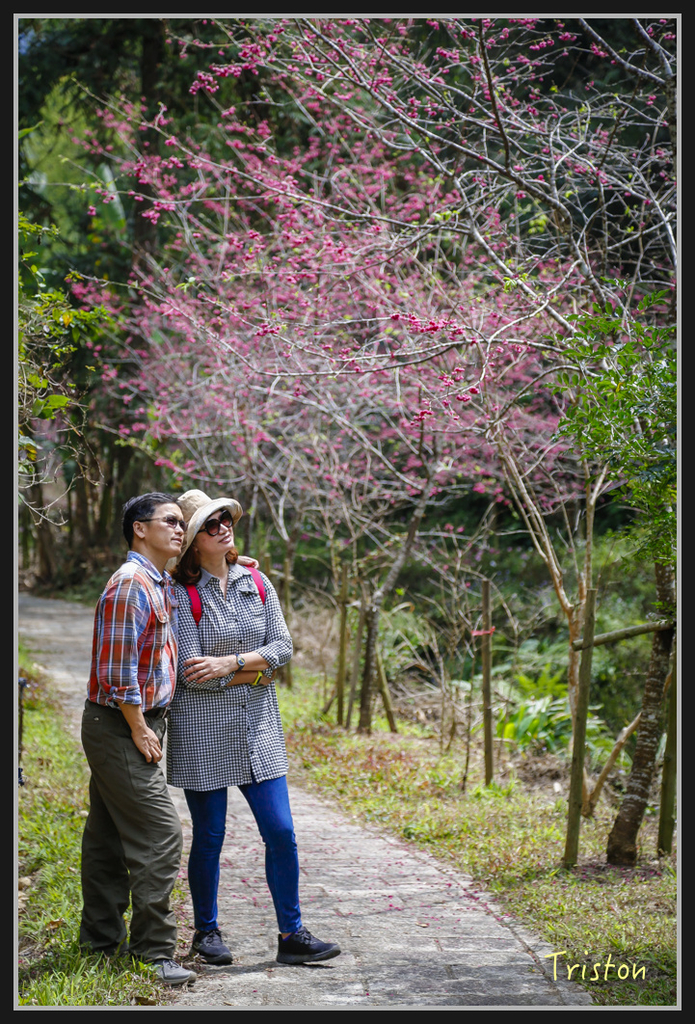 _H1A2524.jpg - 20170311 草嶺