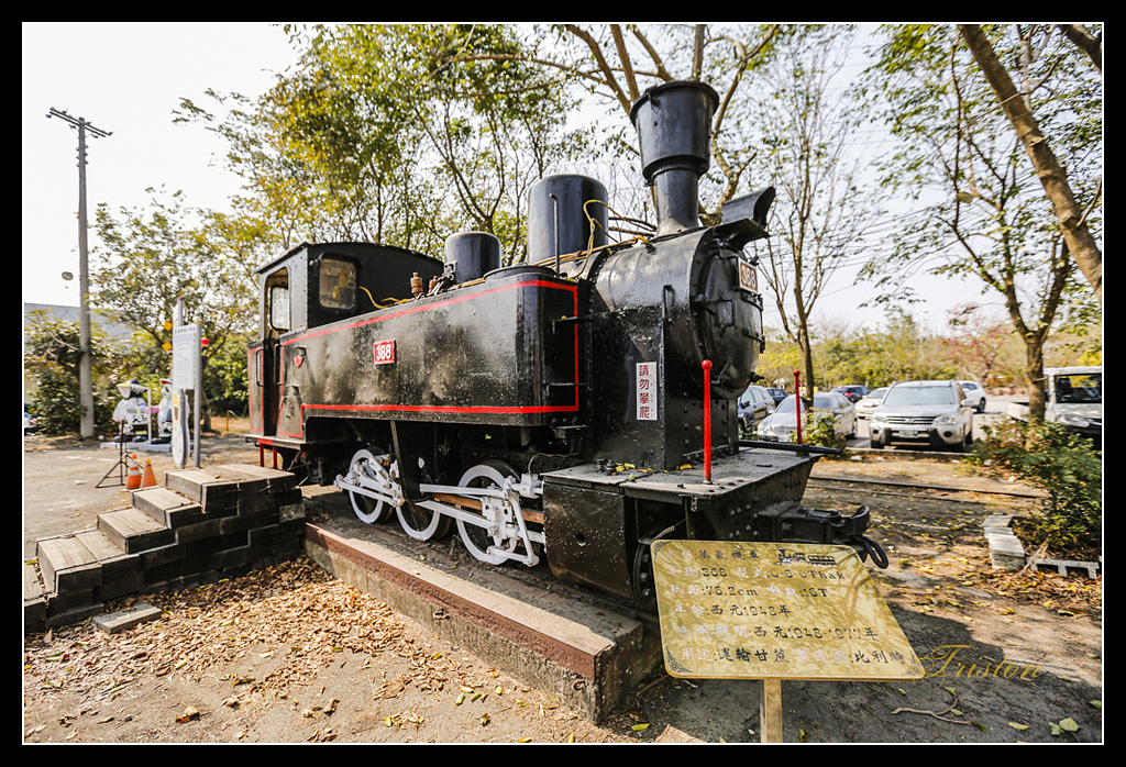 _H1A3148.jpg - 20170328 嘉義苦楝花隧道