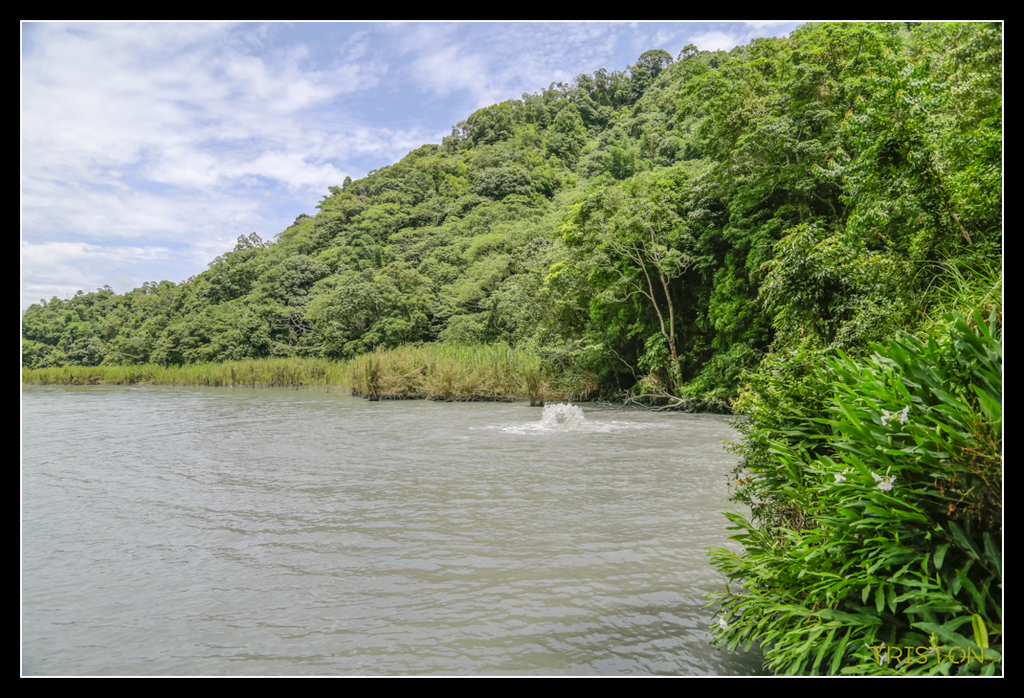 _H1A5188.jpg - 20170717 台北日月潭之旅