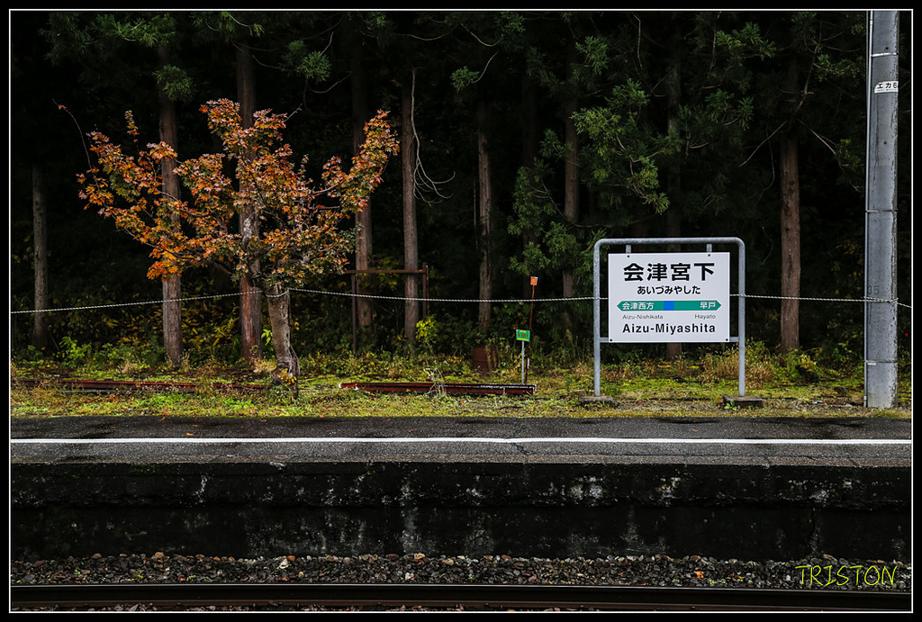 _H1A0767.jpg - 20171103 日本只見線、會津若松五色沼、昭和記念公園賞紅葉