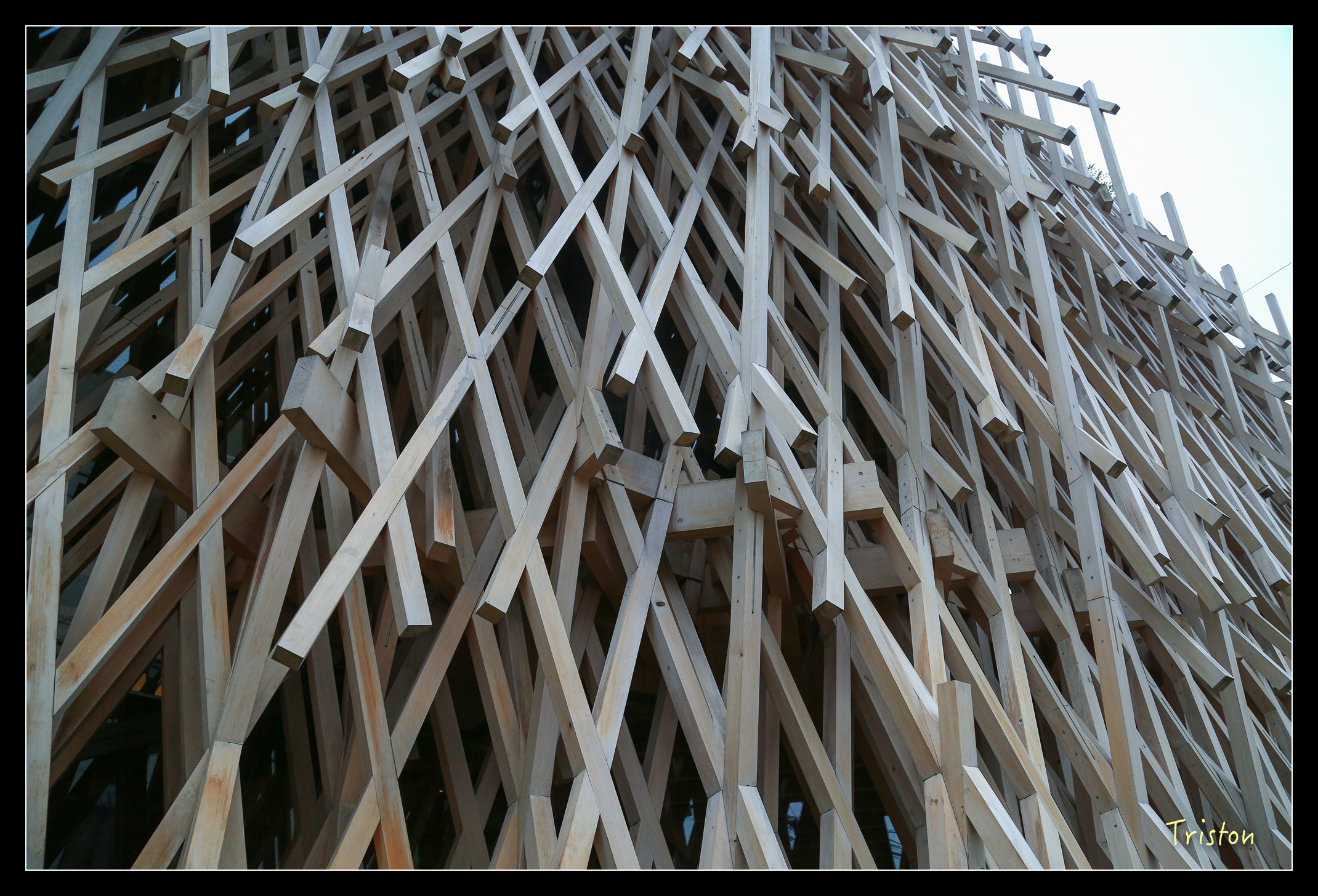 JH1A8953.jpg - 20150628 東京輕井澤日光