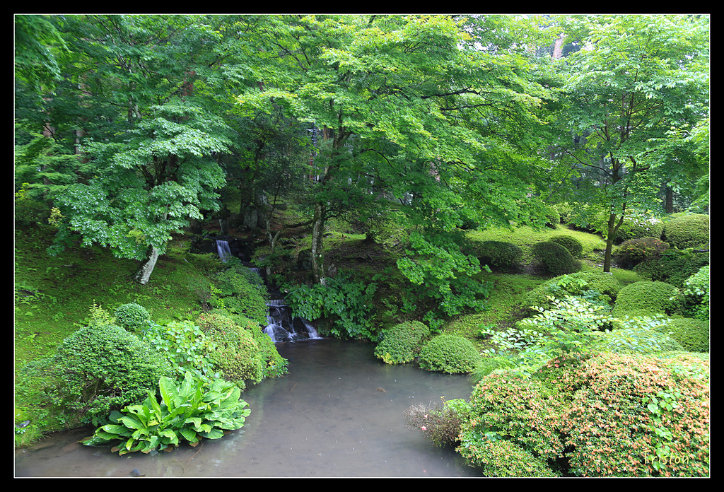 JH1A9946.jpg - 20150628 東京輕井澤日光