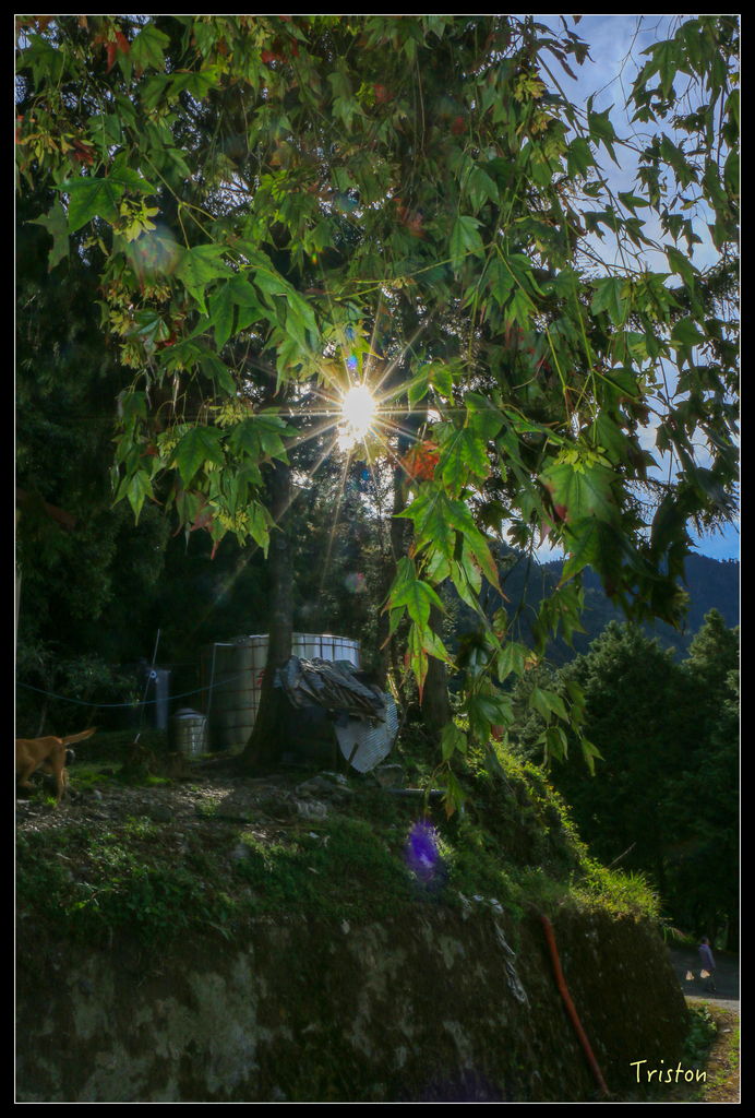 IMG_8586.jpg - 20151017 郡大林道、望鄉山、郡大山