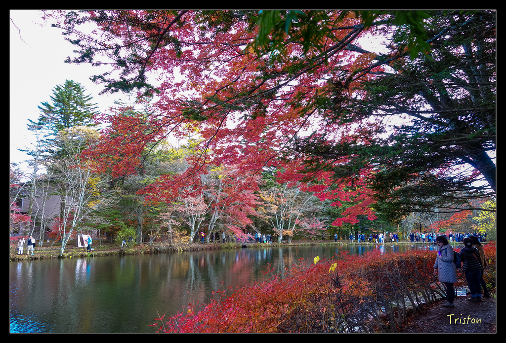 DSC00391.jpg - 20151031 秋天的童話-貴婦東京輕井澤紀行