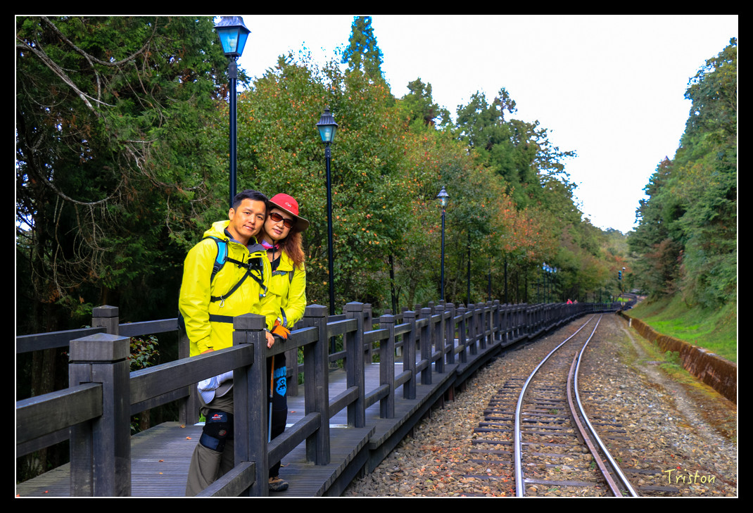 IMG_9344.jpg - 20151130 小笠原山、對高岳