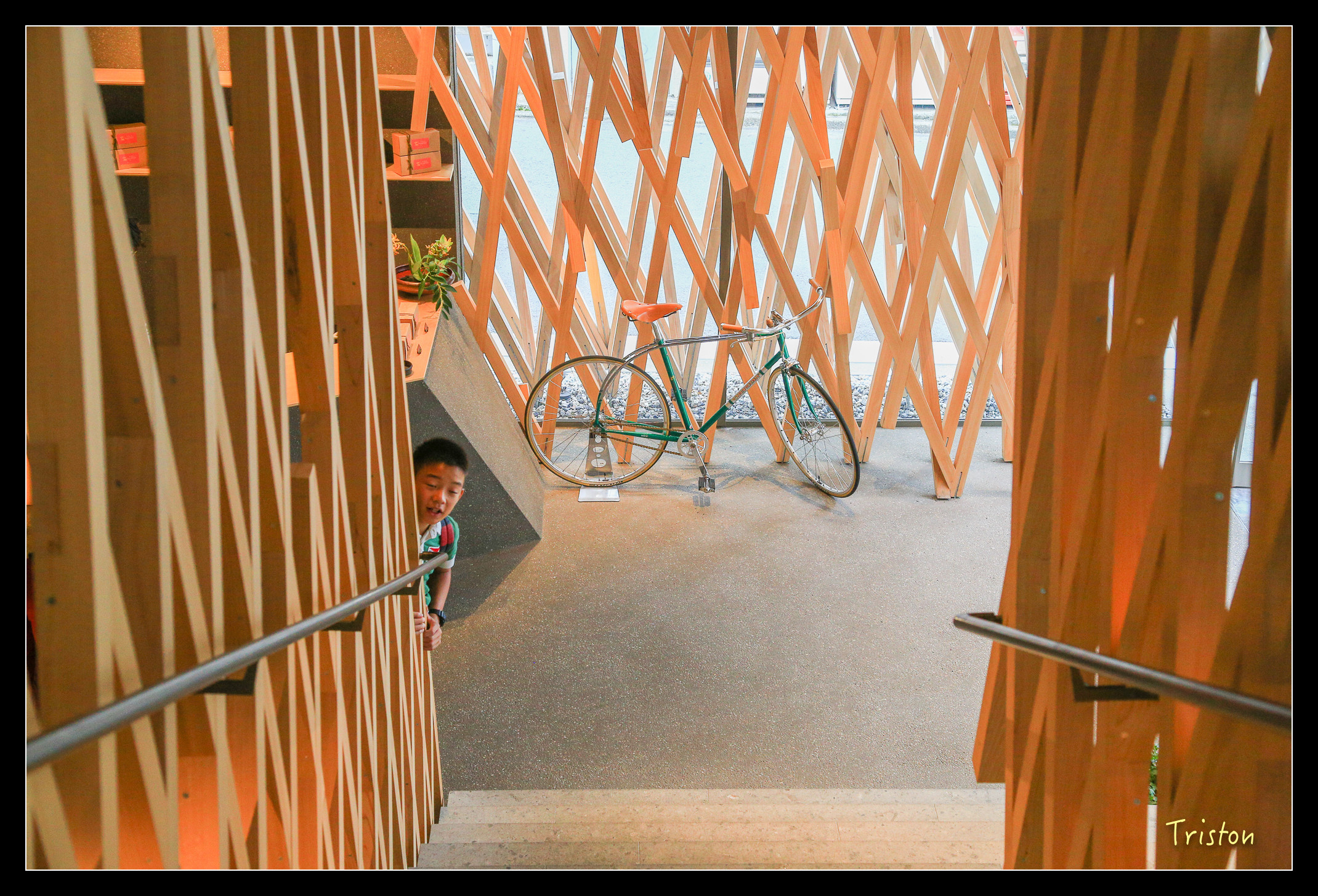 JH1A8959.jpg - 20150628 東京輕井澤日光