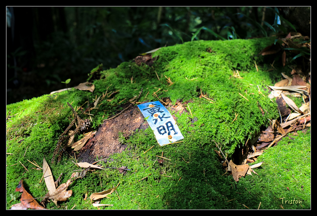 IMG_8285.jpg - 20150926 大凍山切霹靂山 抵龍雲山莊