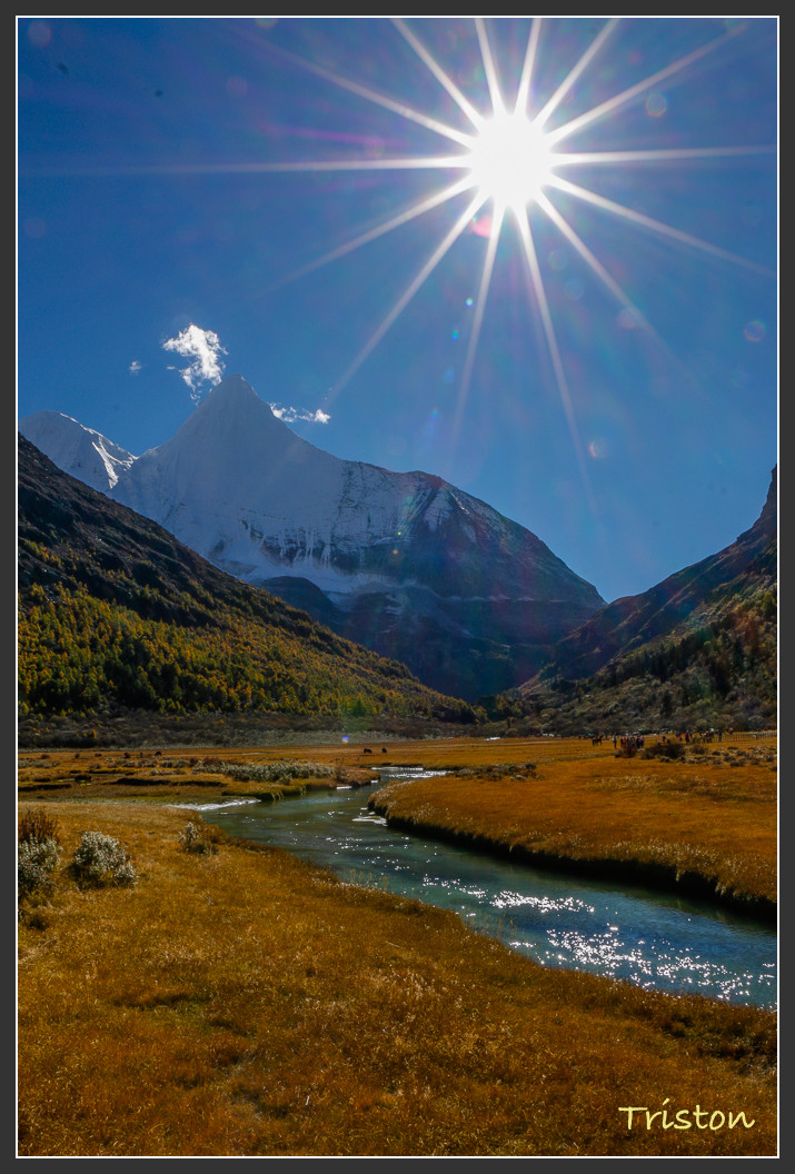 _MG_1915.jpg - 20161013 稻城亞丁