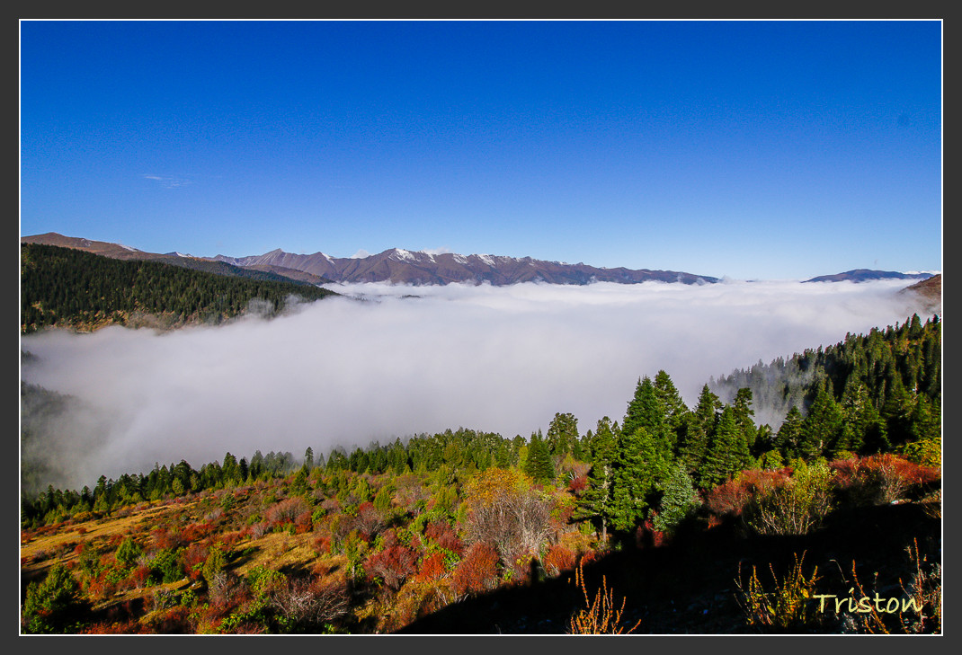 _MG_0464.jpg - 20161013 稻城亞丁