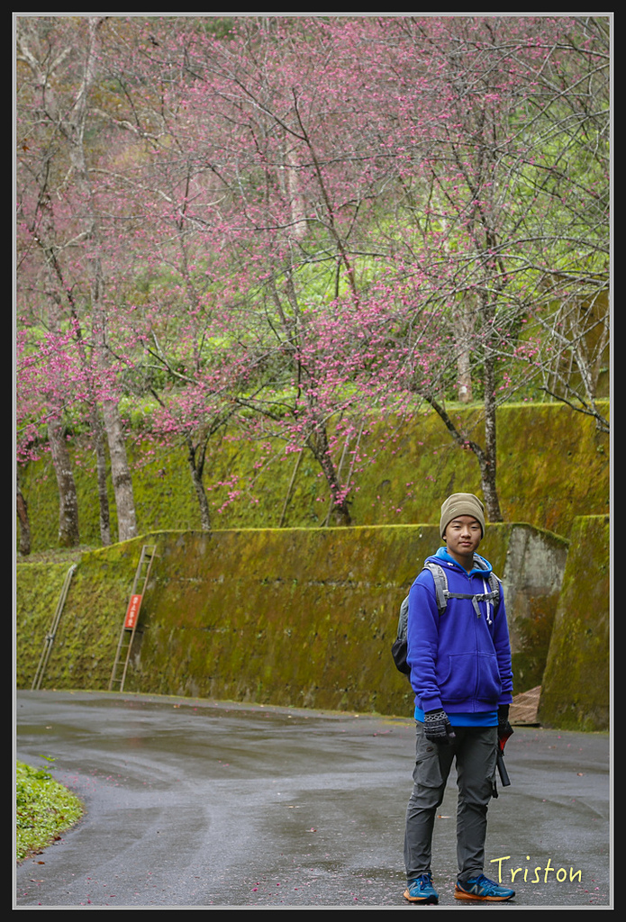 _H1A1993.jpg - 20170212 武界 萬大電廠 奧萬大