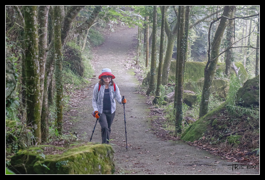 _MG_0029.jpg - 20170529 關仔嶺大凍山
