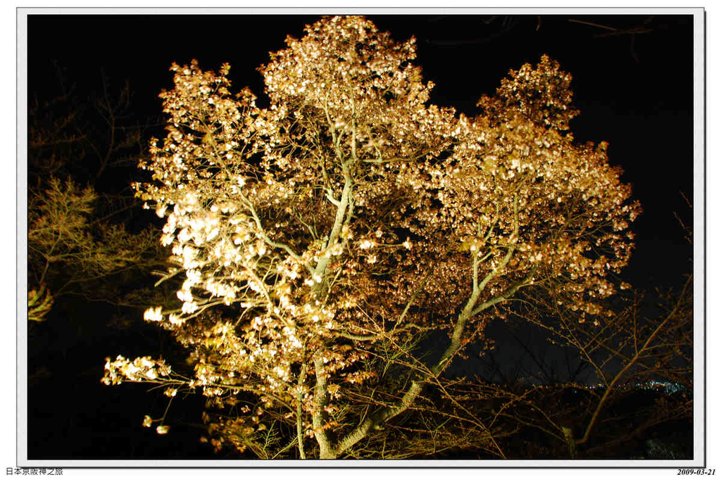 2009-03-21-18_33_53.jpg - 20090320 日本京阪神之旅