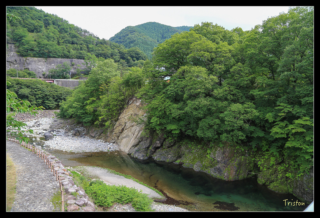 JH1A9879.jpg - 20150628 東京輕井澤日光