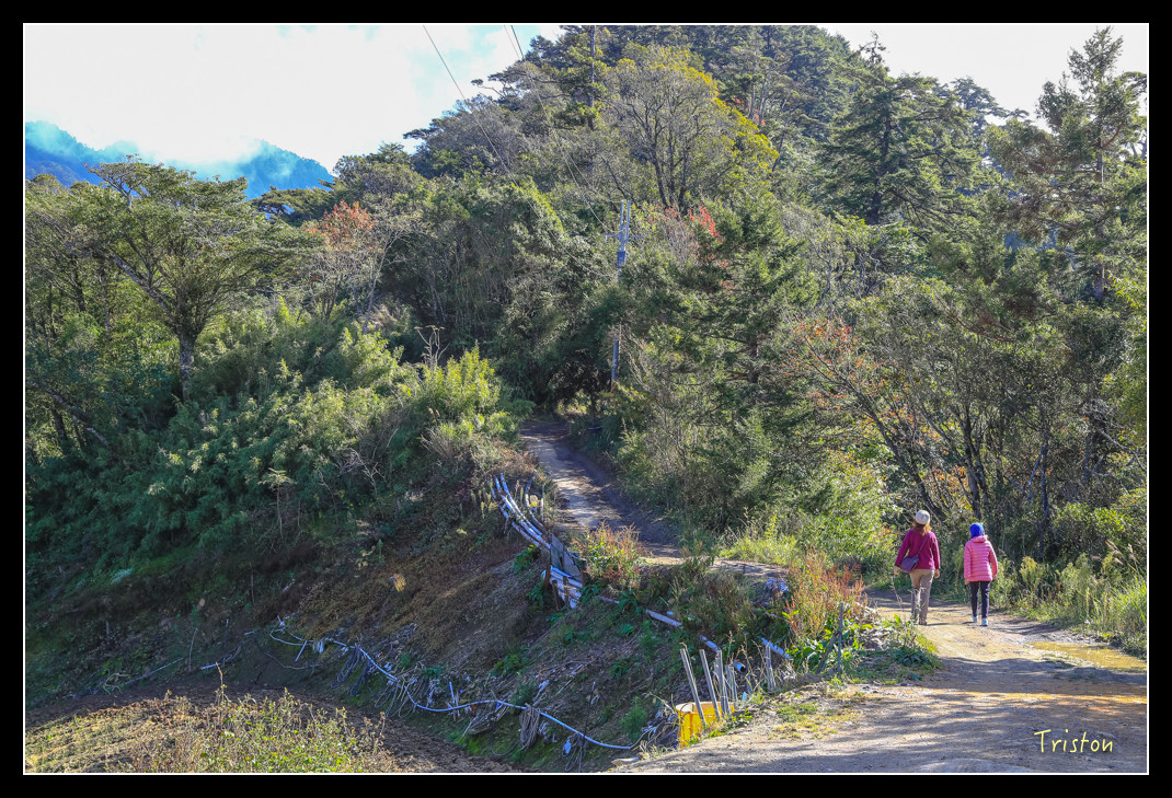 JH1A0632.jpg - 20151205 合歡溪步道、108K楓之谷