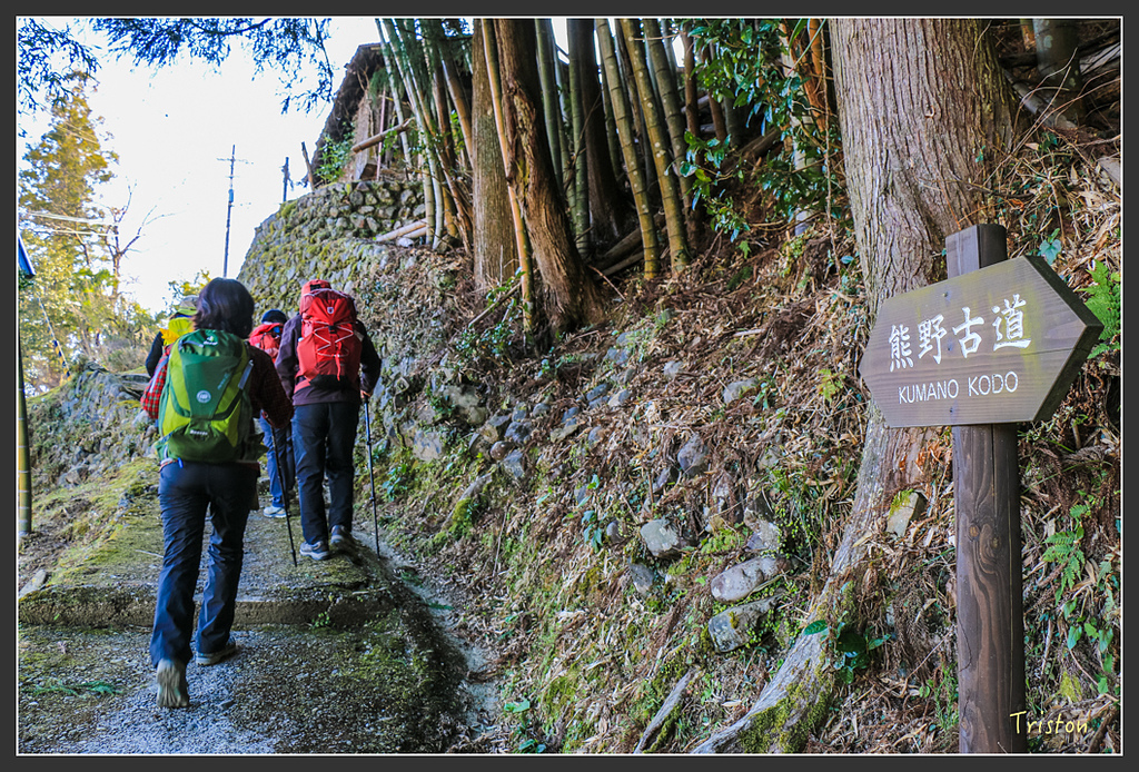 IMG_4974.jpg - 20160323 日本熊野古道健行