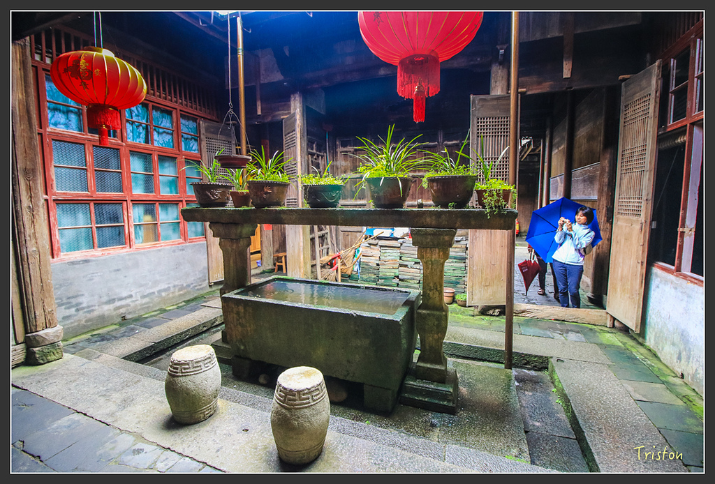 IMG_6626.jpg - 20160409 武夷山之旅