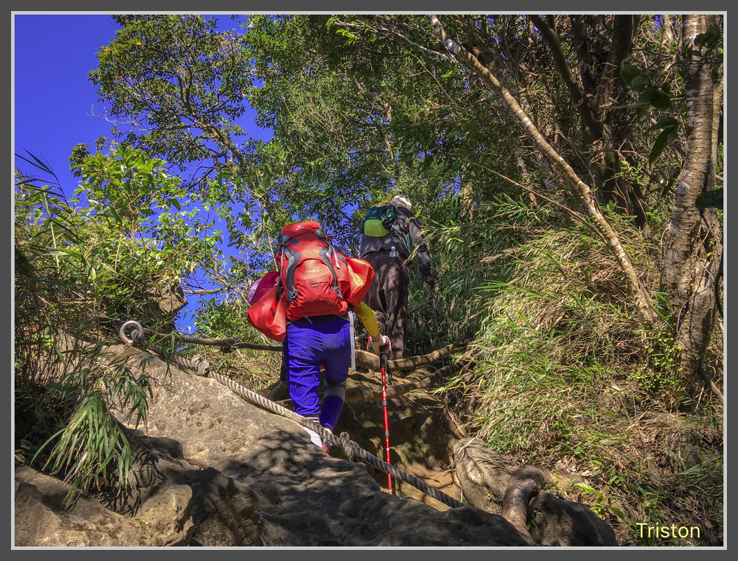 IMG_2788.jpg - 201161113 皇帝殿東西峰