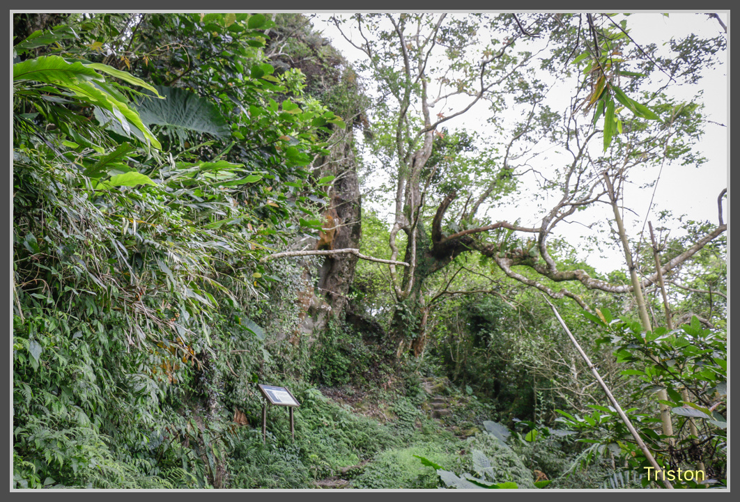 _MG_0023.jpg - 20161126 台南崁頭山